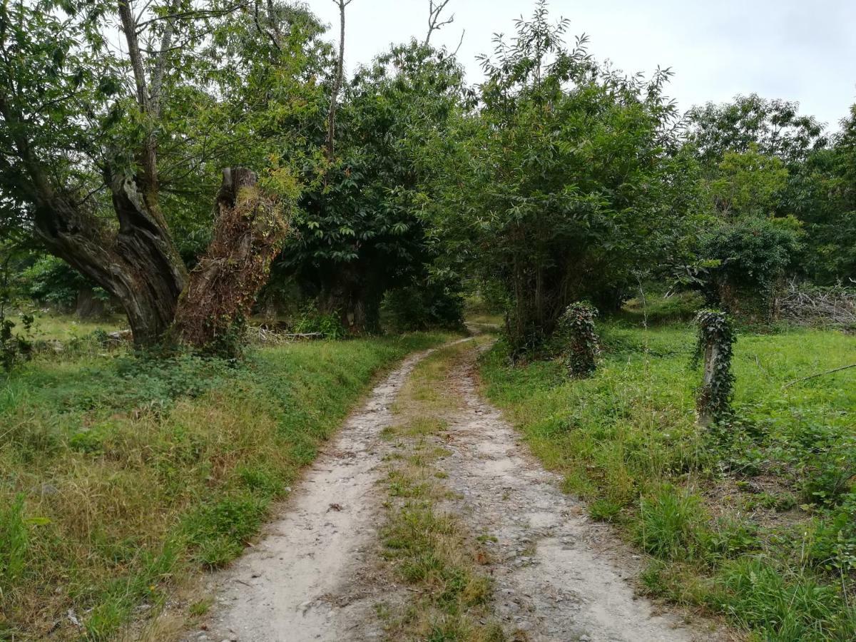 Casa Dos Mestres Sober Dış mekan fotoğraf
